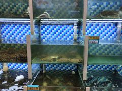 -蔚海之都·象山蒸汽海鲜(仙霞路店)