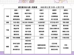 -天津市盛世星光幼儿园