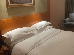 -维也纳酒店(合肥长江东路三里街地铁站店)