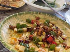 -东鸽皇(奥园·中环广场店)