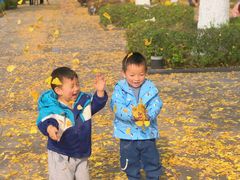 -百林公园-两江幸福广场