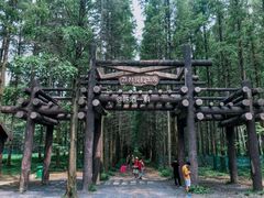 -黄海国家森林公园