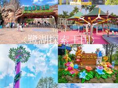 -美的鹭湖森林度假区