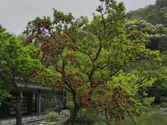 -云溪植物园