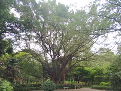 -雀儿山公园
