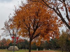 -北京园博大酒店