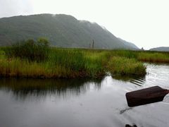 android_upload_pic-腾冲北海湿地