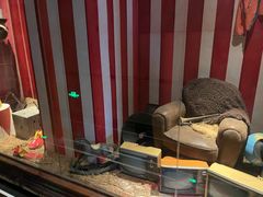 -星聚会KTV(景枫中心店)