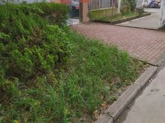 -来噻布布 Lets BUBU