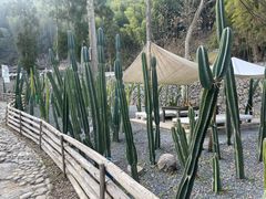 -MOJ coffee(瓯海泽雅水碓坑店)