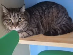 -天宠宠物医院24小时·急重症诊疗中心·全科·腔镜特色(和平分院)