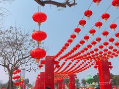 -万绿园