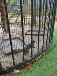 -萌宠亲子动物乐园(槐房万达店)