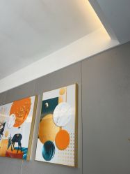 -哈颜科技轻美·