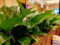 -眉州东坡(春秀路店)