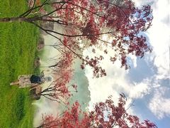 -广州市帽峰山景区