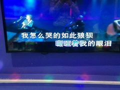 -麦克小熊时尚量贩KTV(神道口店)