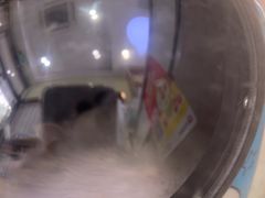 -瑞鹏宠物医院·宠保定点·心脏科·内科(御桥分院)