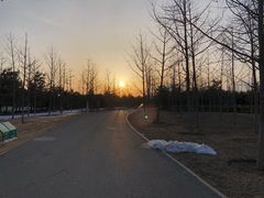 -东郊湿地公园