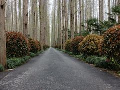 -上海怡沁园度假酒店