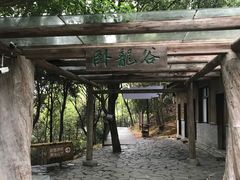 -大余丫山旅游度假区
