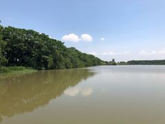 -大湾区中央湿地公园