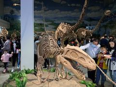 -自贡恐龙博物馆