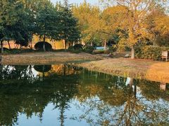 -金银湖国家城市湿地公园