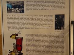 -Long Bar(莱佛士酒店)