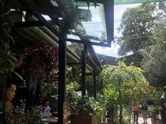 -The Grounds of Alexandria