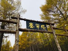 -塞罕坝国家级自然保护区