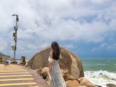 -广东惠东海龟国家级自然保护区