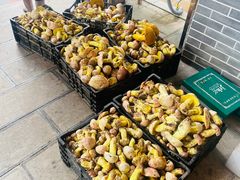 -双喜农庄·菌香园(安居家园店)