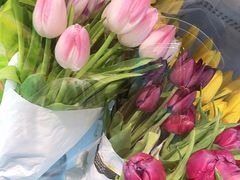 -双季花艺园艺市场(浦东店)