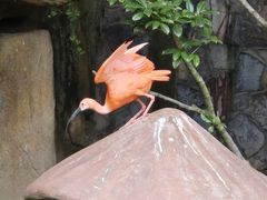 -上海野生动物园