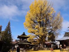 -医王山·飞騨国分寺