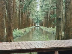 -凤城河风景区