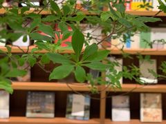 -二酉书店TOYOU BOOKS