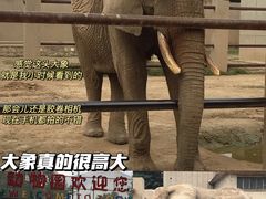 -保定市动物园