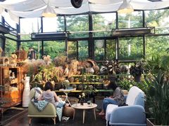 -北马山庄植趣咖啡