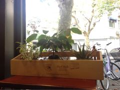-RUMORS COFFEE ROASTERY鲁马滋咖啡(湖南路店)