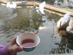 -广富林宰相府酒店·水云间