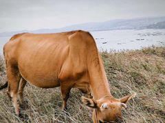 -漳州滨海火山岛自然生态风景区