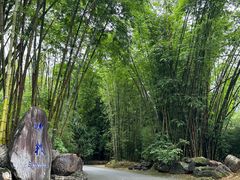 -云南勐巴娜西珍奇园