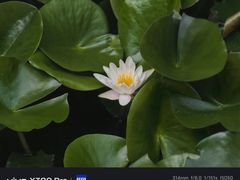 -莲池书院博物馆