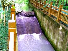 -桤木河湿地公园