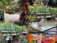 -正佳雨林生态植物园