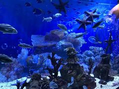 -海合安成都极地海洋公园