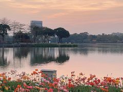 -顺峰山公园