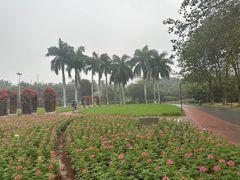-万绿园